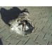 Versnellingsbak VW Passat 3B3 1.9 TDI 6-Bak FRK FRF DQS GVS HHQ GBA